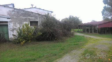 Capannoni e terreno