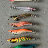 Totanare pesca eging DTD YAMASHITA SHIMANO mare