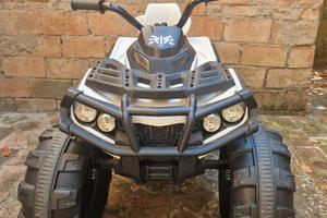 Quad elettrico