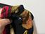 Immagine 5