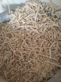 Trucioli di legno di abete