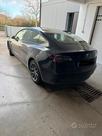Model 3 molise