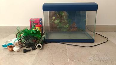 Acquario 42 x 33 x 27