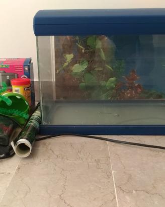 Acquario 42 x 33 x 27
