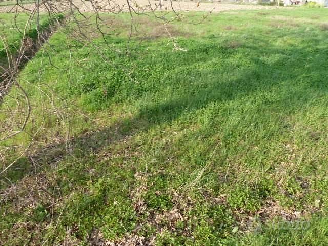 Terreno di 750 m² a Porcari - Vista 4