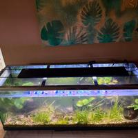 Acquario completo 120 lt