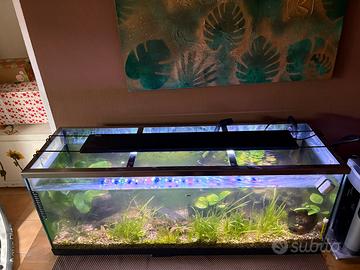 Acquario completo 120 lt