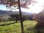 Immagine 7
