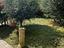 Immagine 10