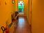 Immagine 12