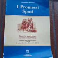 libro promessi sposi
