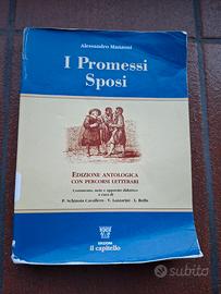 libro promessi sposi