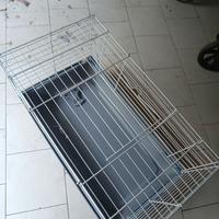 Gabbia conigli e porcellini d'india