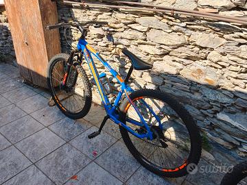 Mountain bike