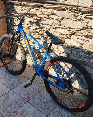 Mountain bike