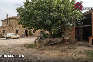 Azienda Agricola - Campiglia Marittima