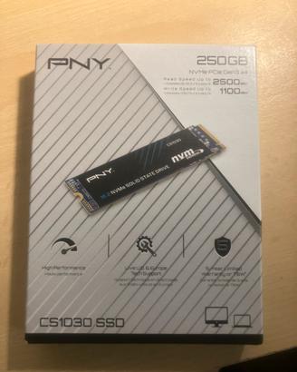 SSD M.2 NVMe PNY CS1030 250GB nuovo