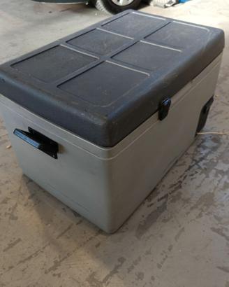 Frigorifero portatile 12/220 volt