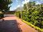 Immagine 19