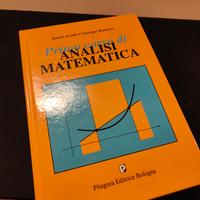Primo corso di analisi matematica 