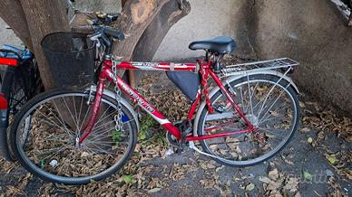 Bici Atala