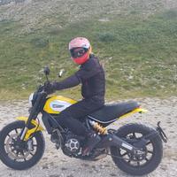 ducati scrambler 800 icon