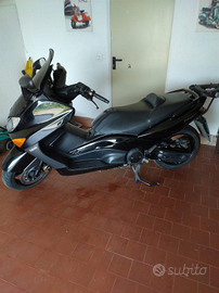 T Max 2007