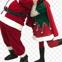 Babbo natale ed Elfo a domicilio