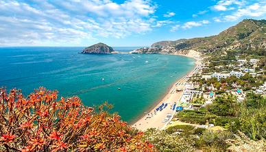 Ischia Appartamento in villa con terrazzo relax