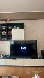 TV SKY GLASS 65”  € 500  come nuova