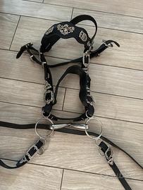 Testiera cavallo portoghese