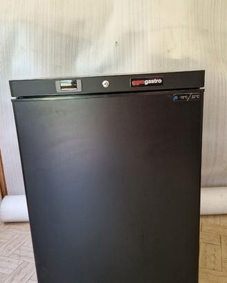Congelatore professionale 200 litri