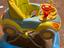 Immagine 2