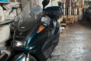 Majestic DX  YAMAHA 250