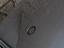 Immagine 9