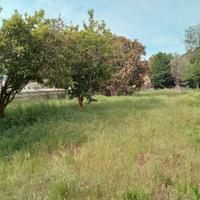 Pianura Via Vicinale Torciolano Rif.131T