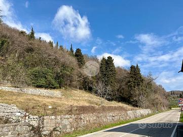 TER. AGRICOLO A CAPRINO VERONESE