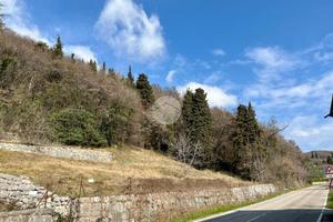 TER. AGRICOLO A CAPRINO VERONESE