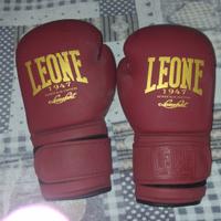 Guanti da Boxe