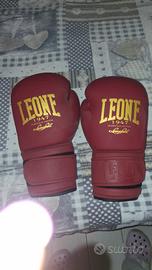 Guanti da Boxe