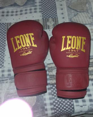 Guanti da Boxe
