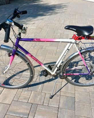 Bici da uomo Lucchino
