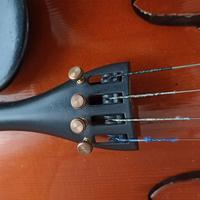 Violino