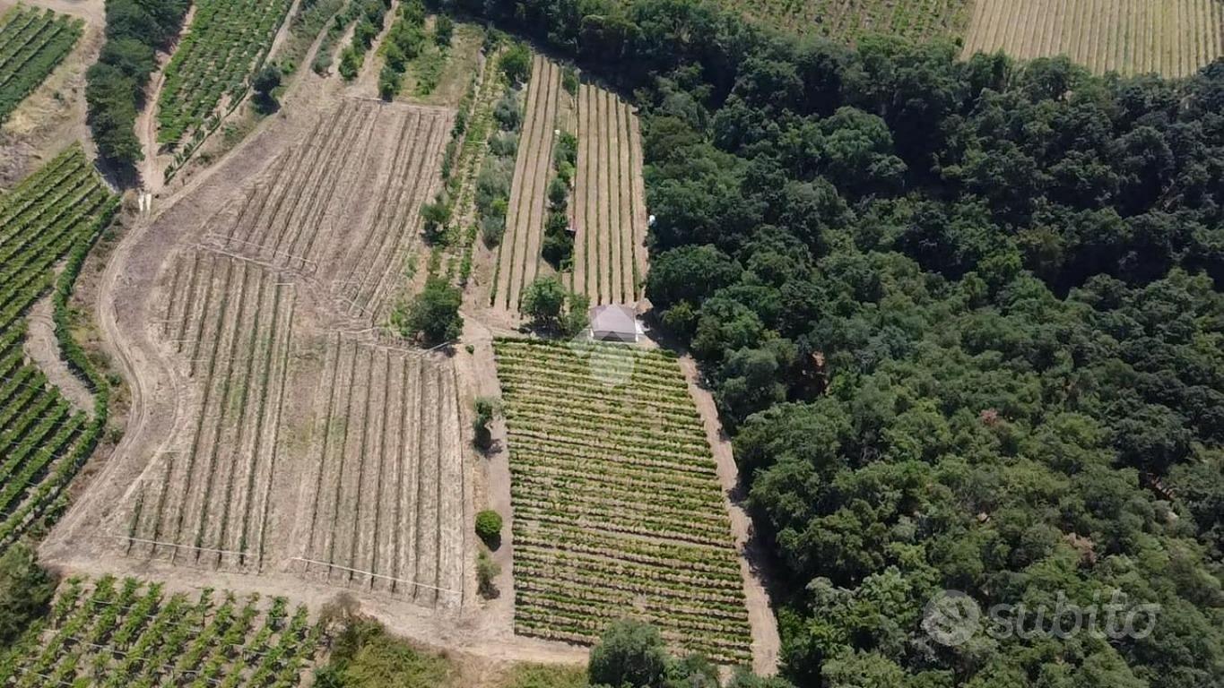 TERRENO A SAN MARTINO BUON ALBERGO - Vista 5