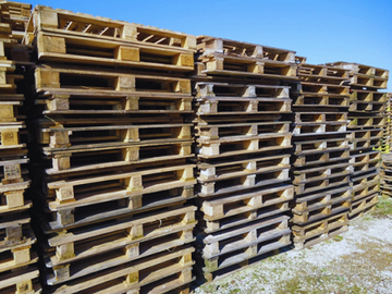 PEDANA PALLET
