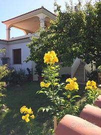 Casa per le ferie estive : SAN TEODORO