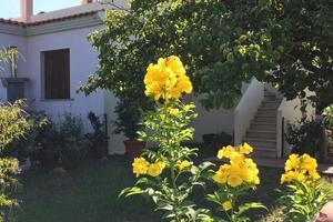 Casa per le ferie estive : SAN TEODORO