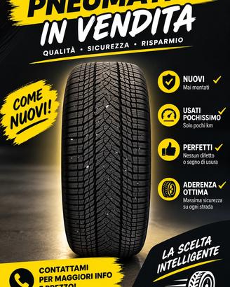 PNEUMATICI INVERNALI 235/40 R19 96W NEXEN