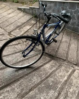 Bici uomo 28” city bike