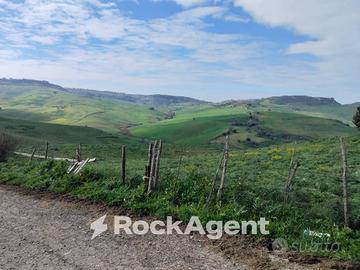 AZIENDA AGRICOLA IN CALASCIBETTA - C/DE CARMINELLO